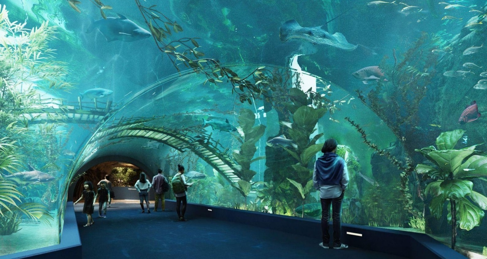 Thuỷ Cung Lotte Mall Tây Hồ - Hà Nội